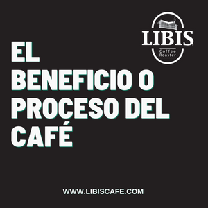 El beneficio o proceso del café