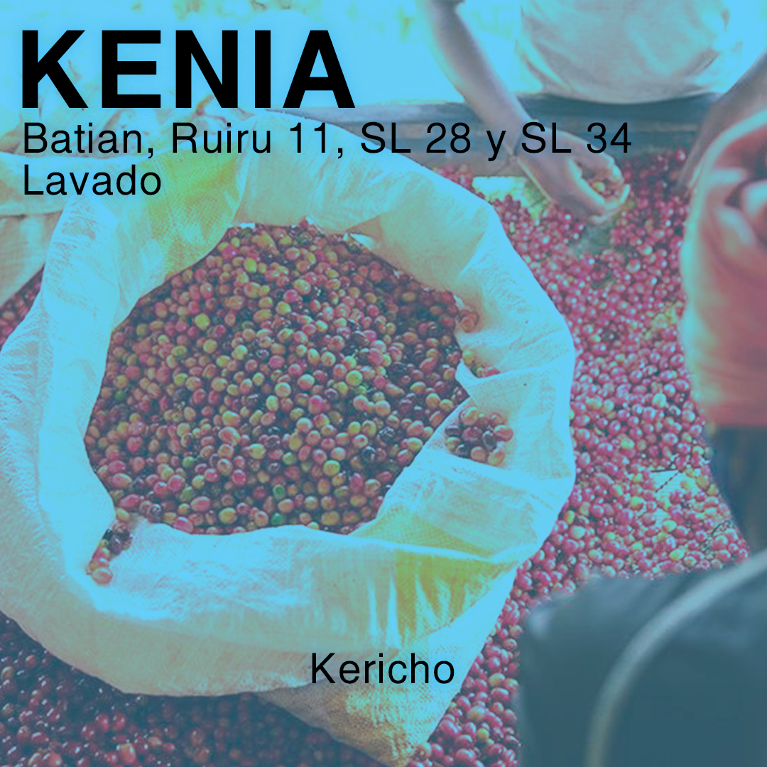Kenia